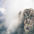 Shoba Realty